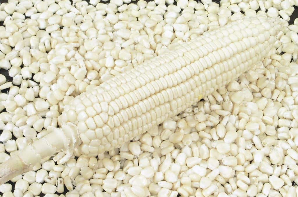 White Maize | white maize importers in kenya